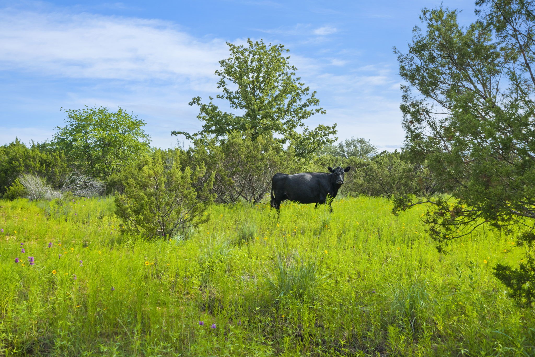 1435 Private Road 1129 Stephenville TX 76401