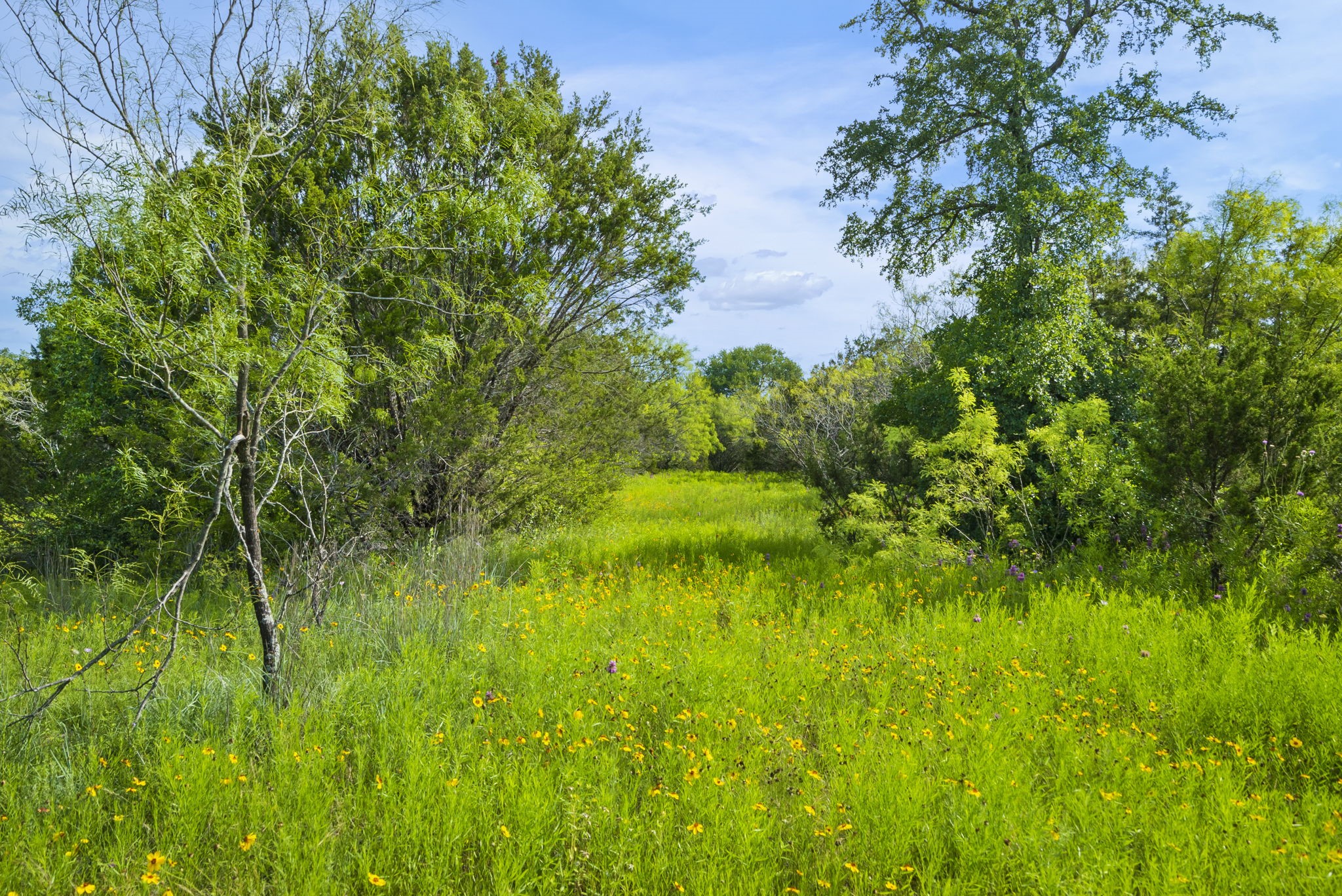 1435 Private Road 1129 Stephenville TX 76401