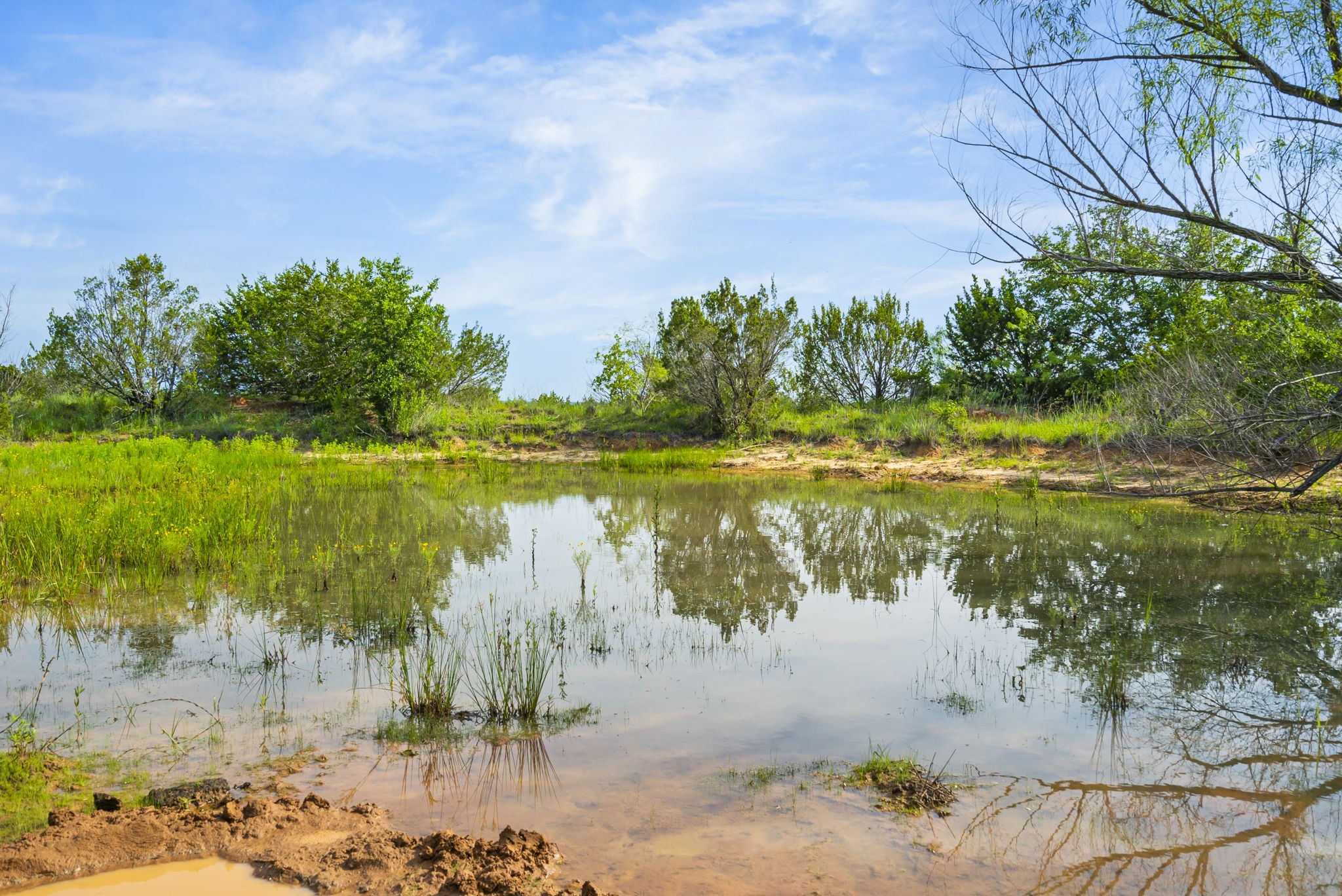 1435 Private Road 1129 Stephenville TX 76401
