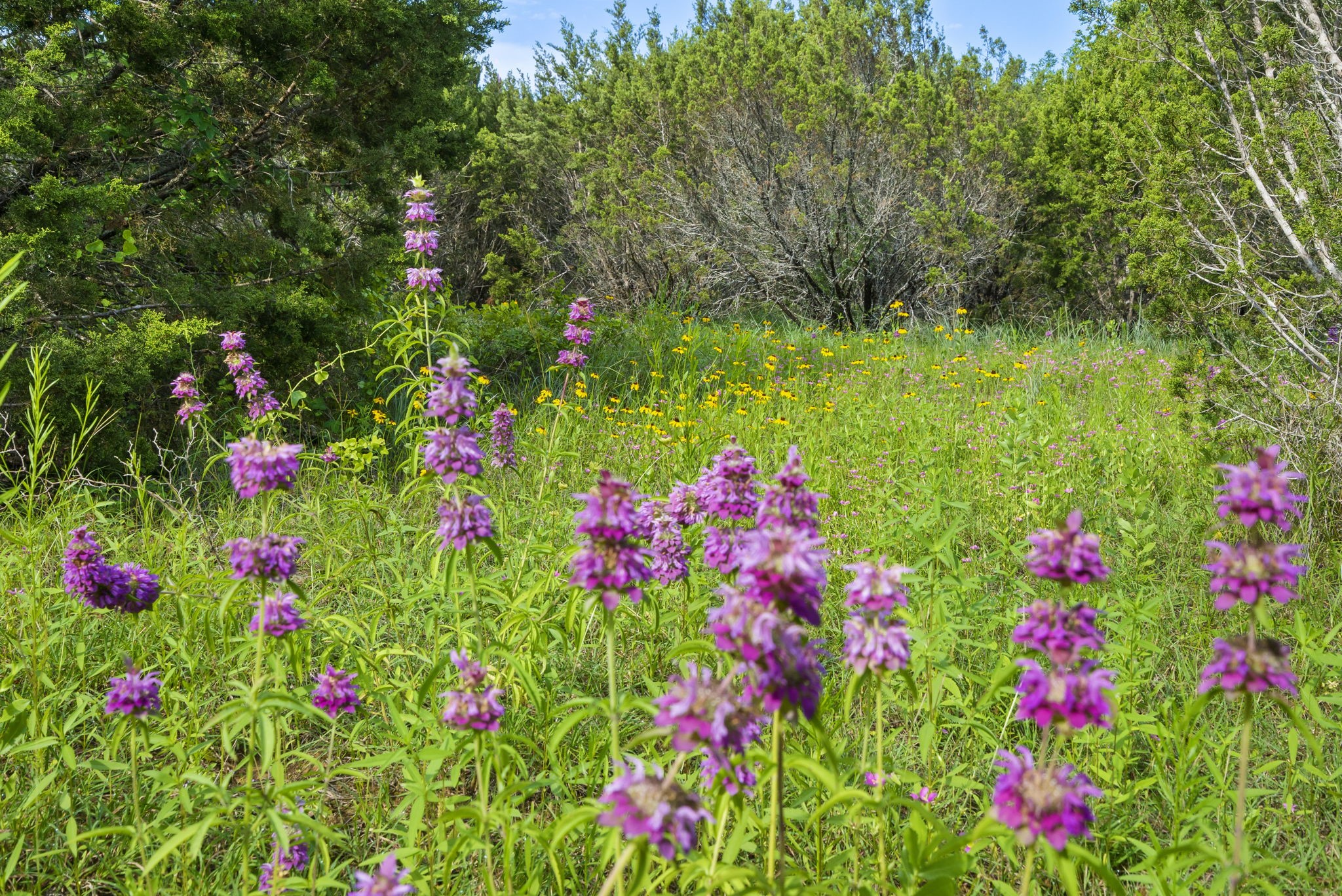 1435 Private Road 1129 Stephenville TX 76401