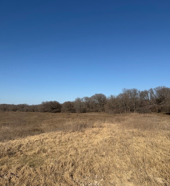 Tbd Private Road 454 Grandview TX 76050