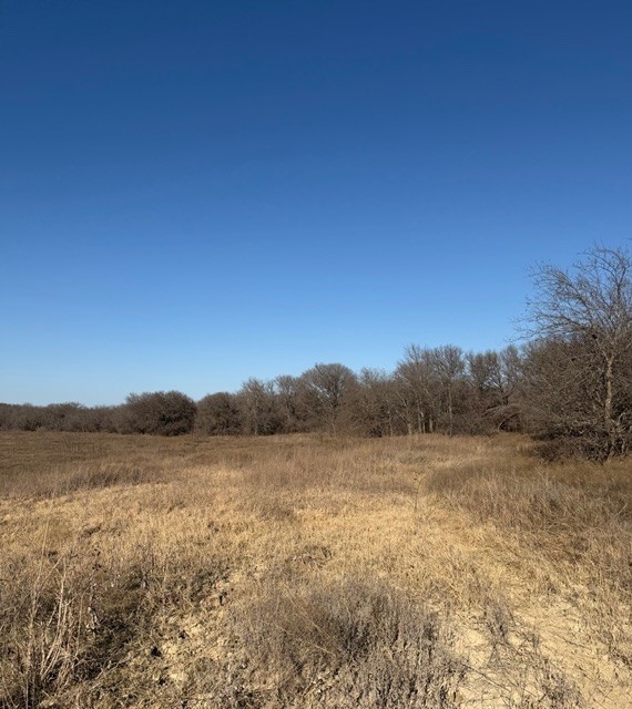 Tbd Private Road 454 Grandview TX 76050