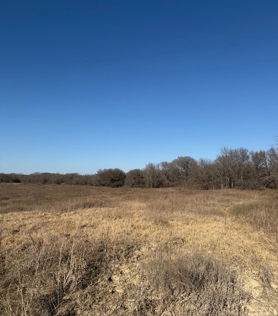 Tbd Private Road 454 Grandview TX 76050