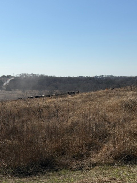 Tbd Private Road 454 Grandview TX 76050