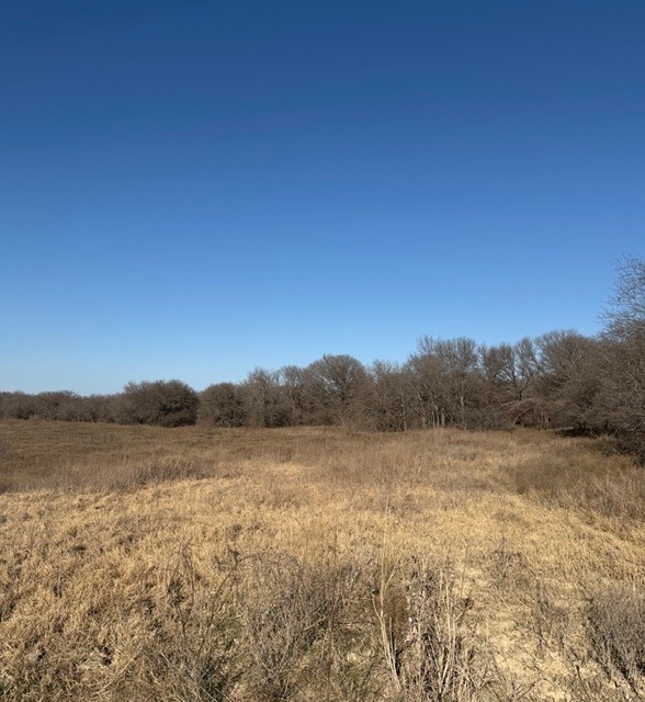 Tbd Private Road 454 Grandview TX 76050