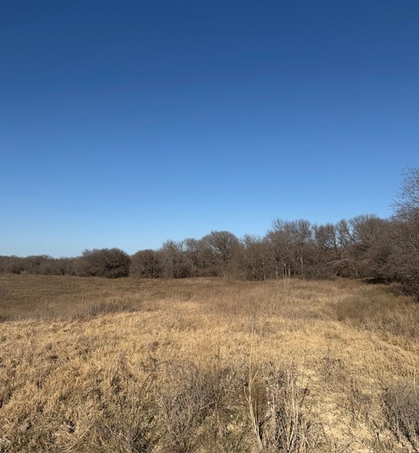 Tbd Private Road 454 Grandview TX 76050