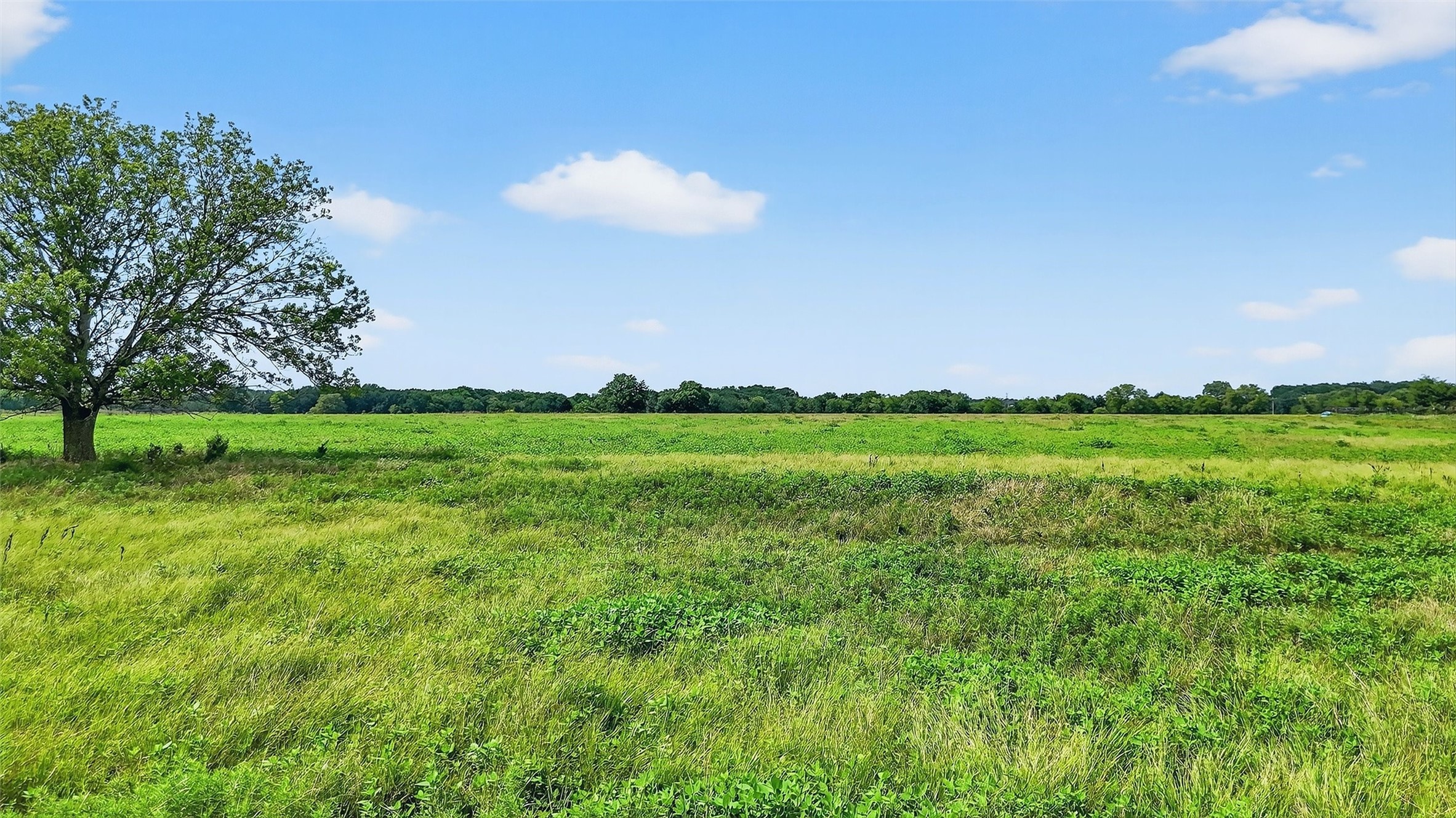 Tbd Hogtown Road Collinsville TX 76233