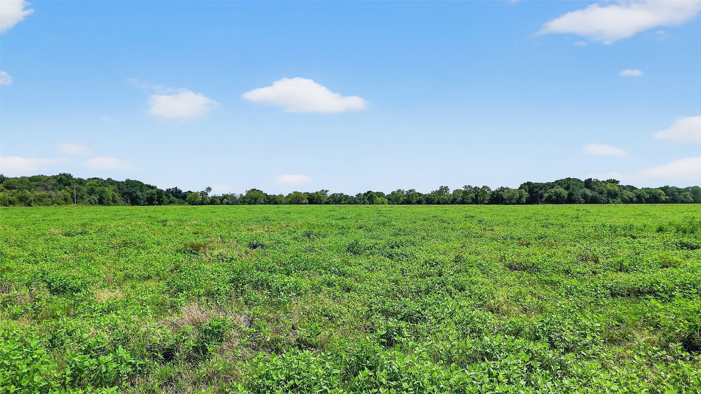 Tbd Hogtown Road Collinsville TX 76233