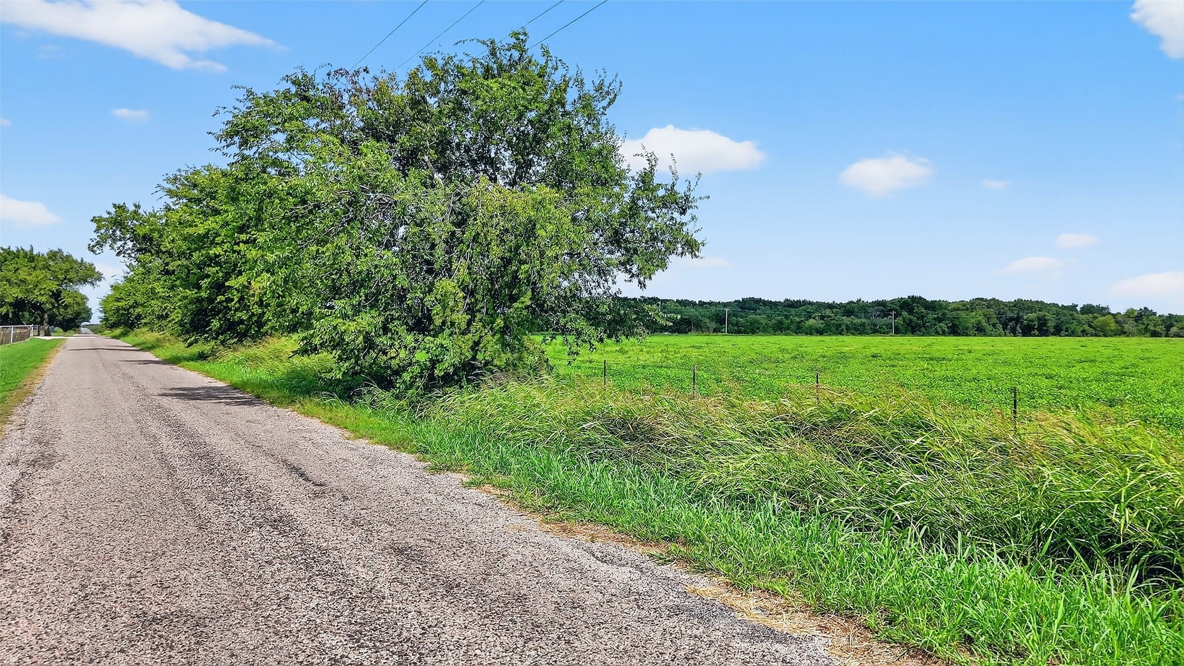 Tbd Hogtown Road Collinsville TX 76233