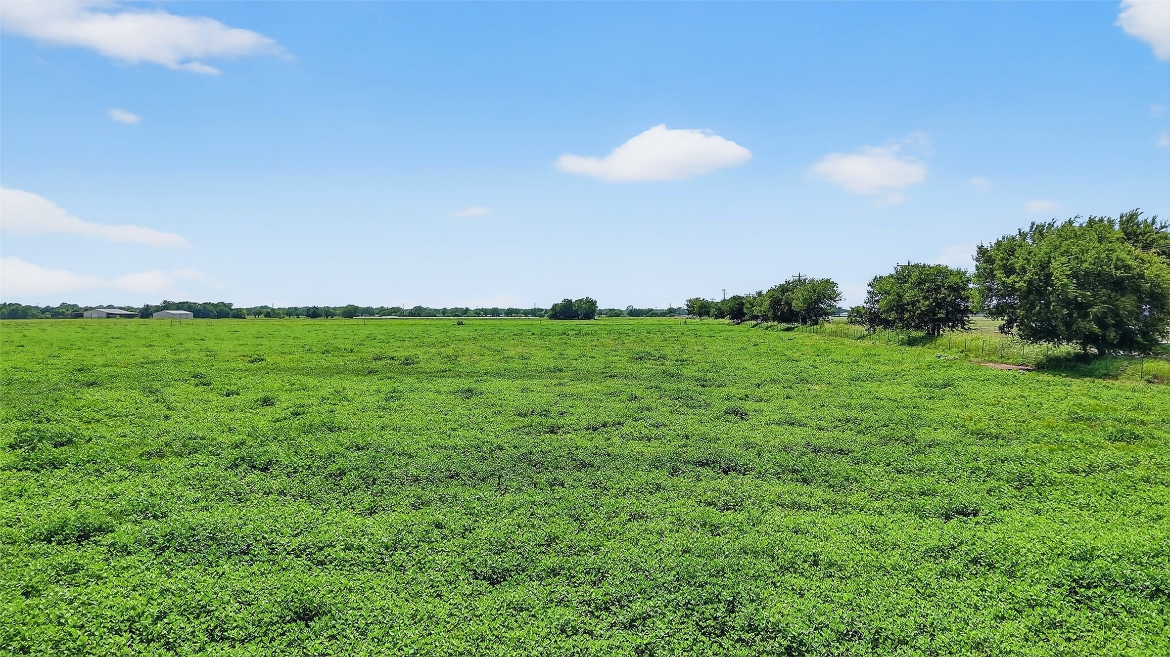 Tbd Hogtown Road Collinsville TX 76233
