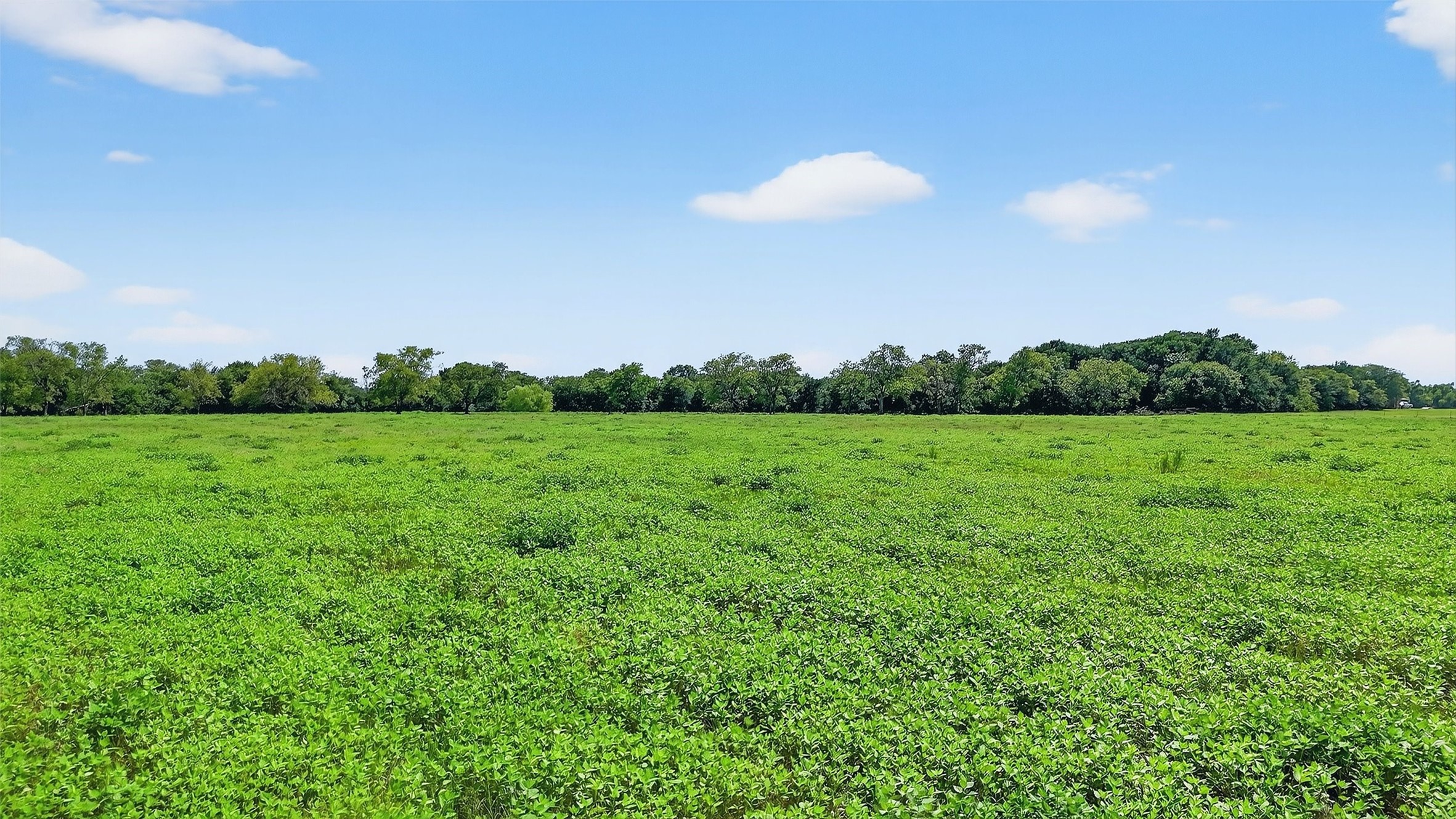 Tbd Hogtown Road Collinsville TX 76233
