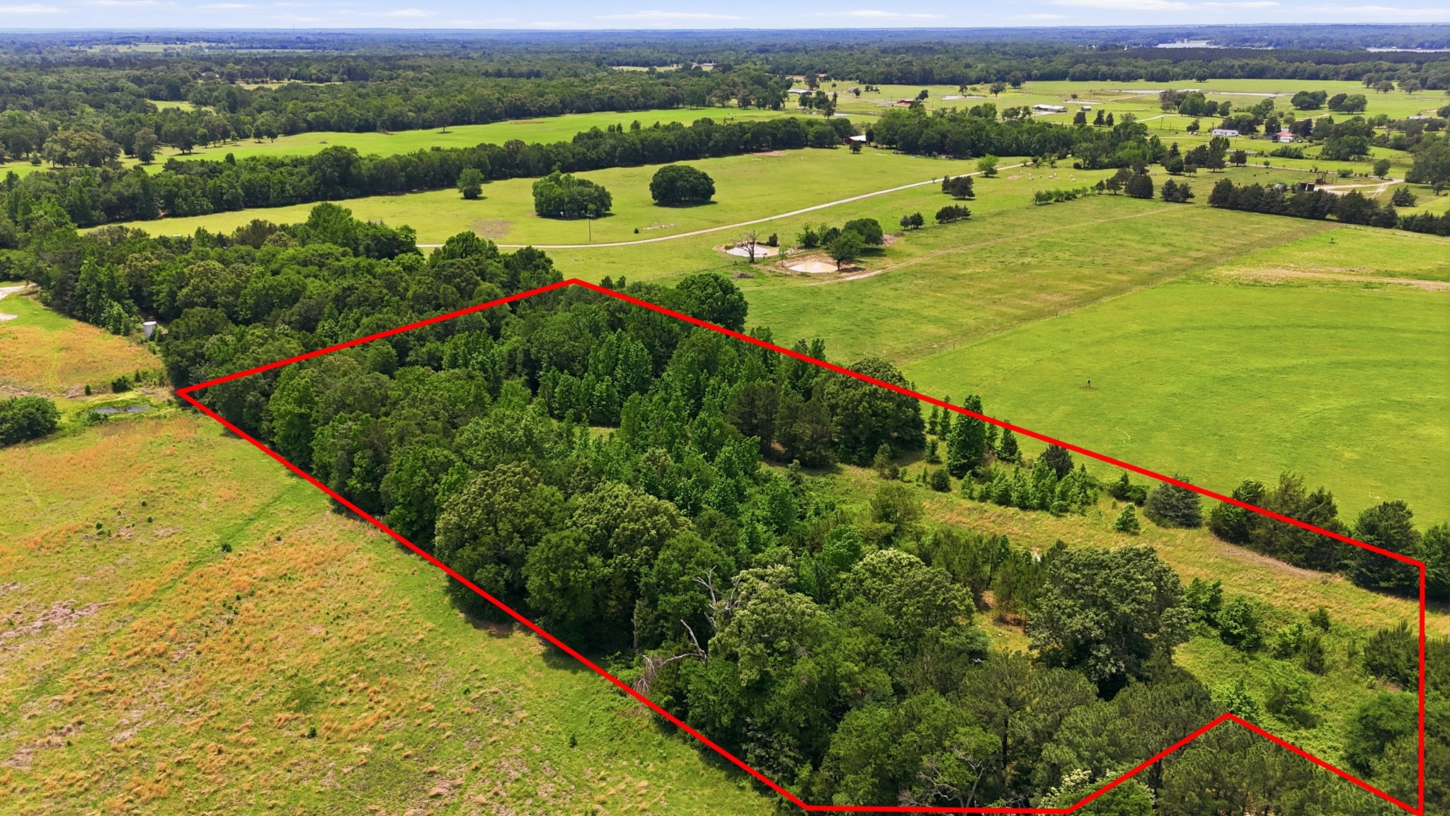 368 County Road 4960 Quitman TX 75783