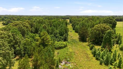 368 County Road 4960 Quitman TX 75783