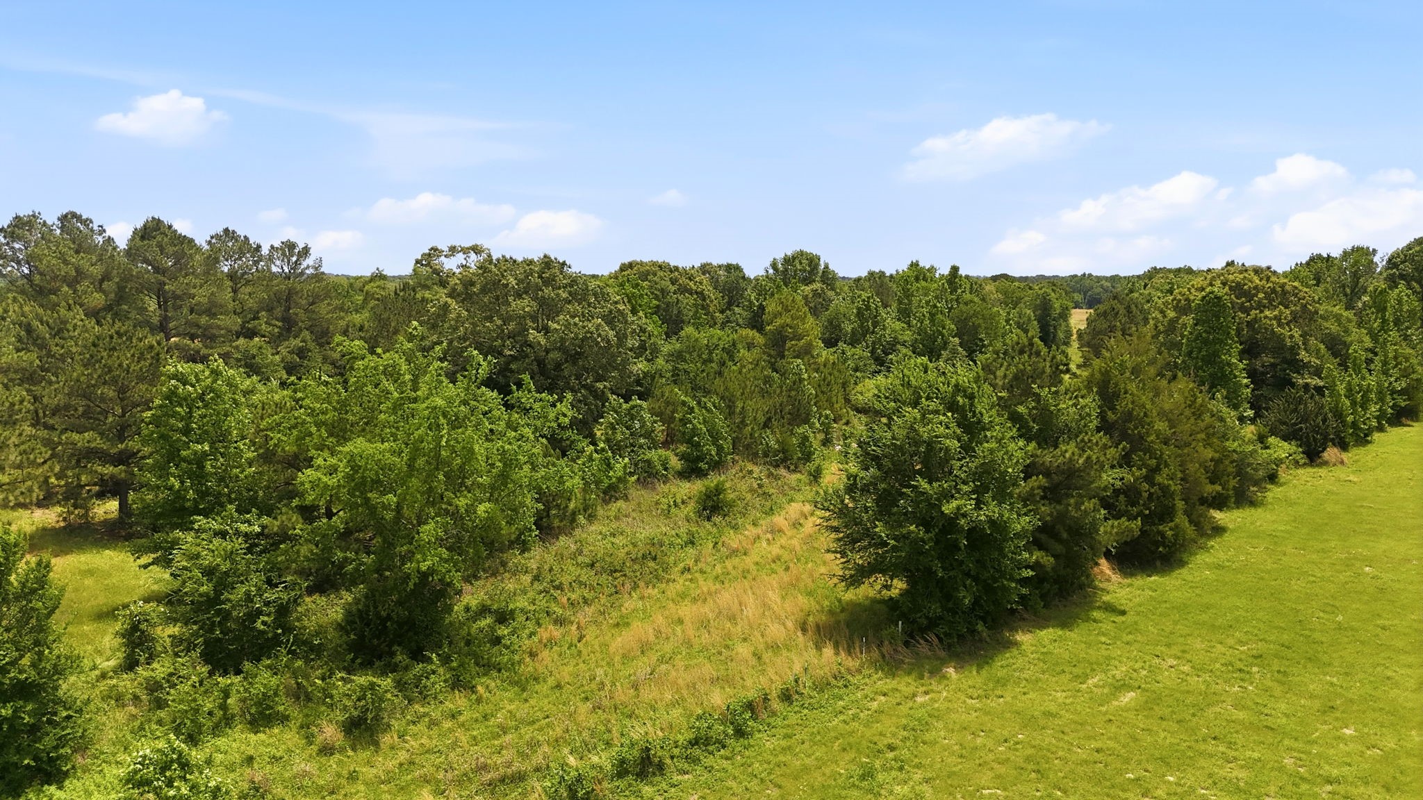 368 County Road 4960 Quitman TX 75783