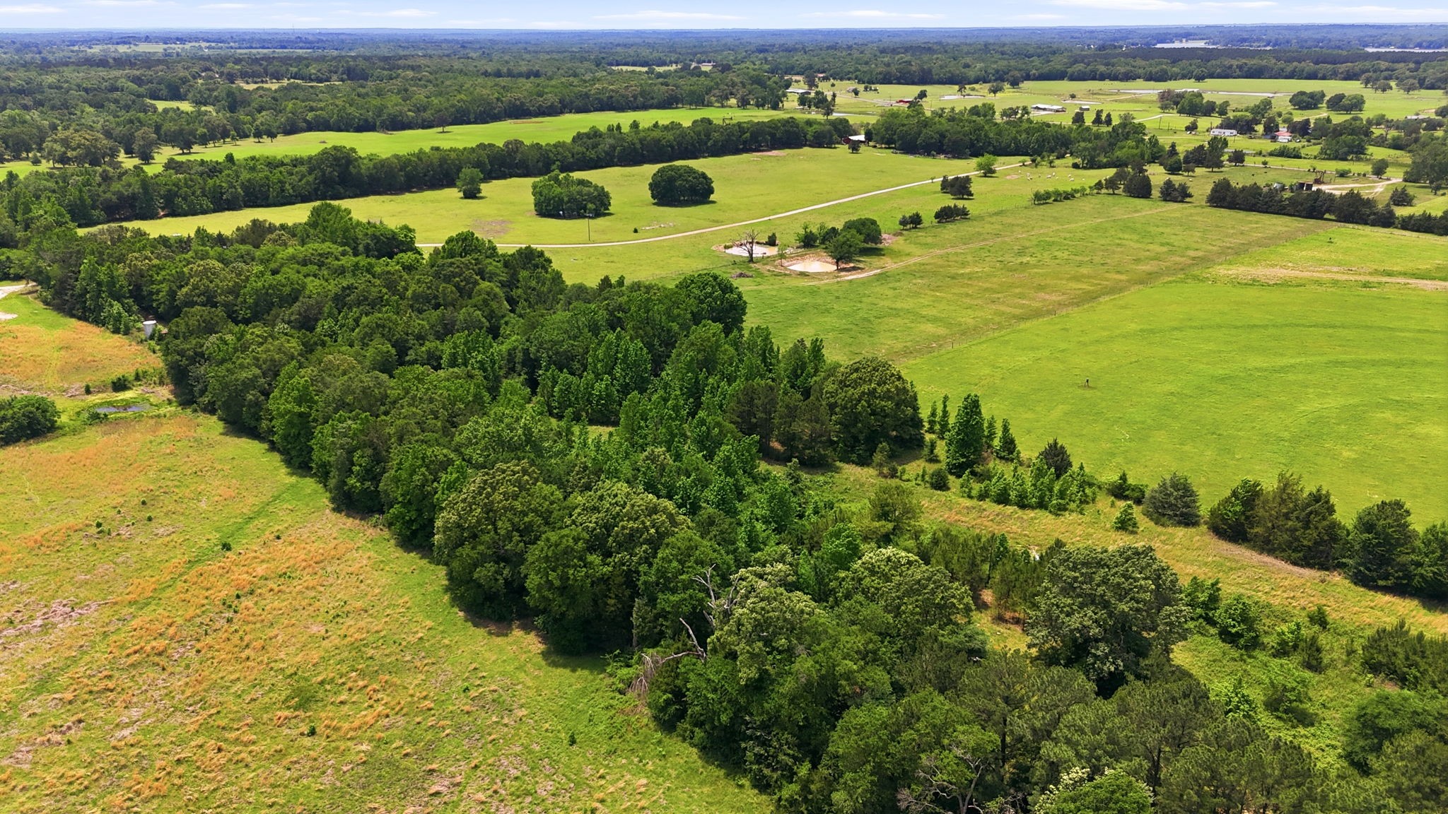 368 County Road 4960 Quitman TX 75783