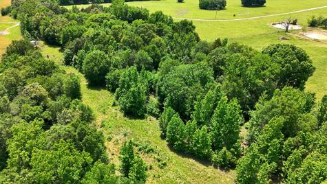 368 County Road 4960 Quitman TX 75783