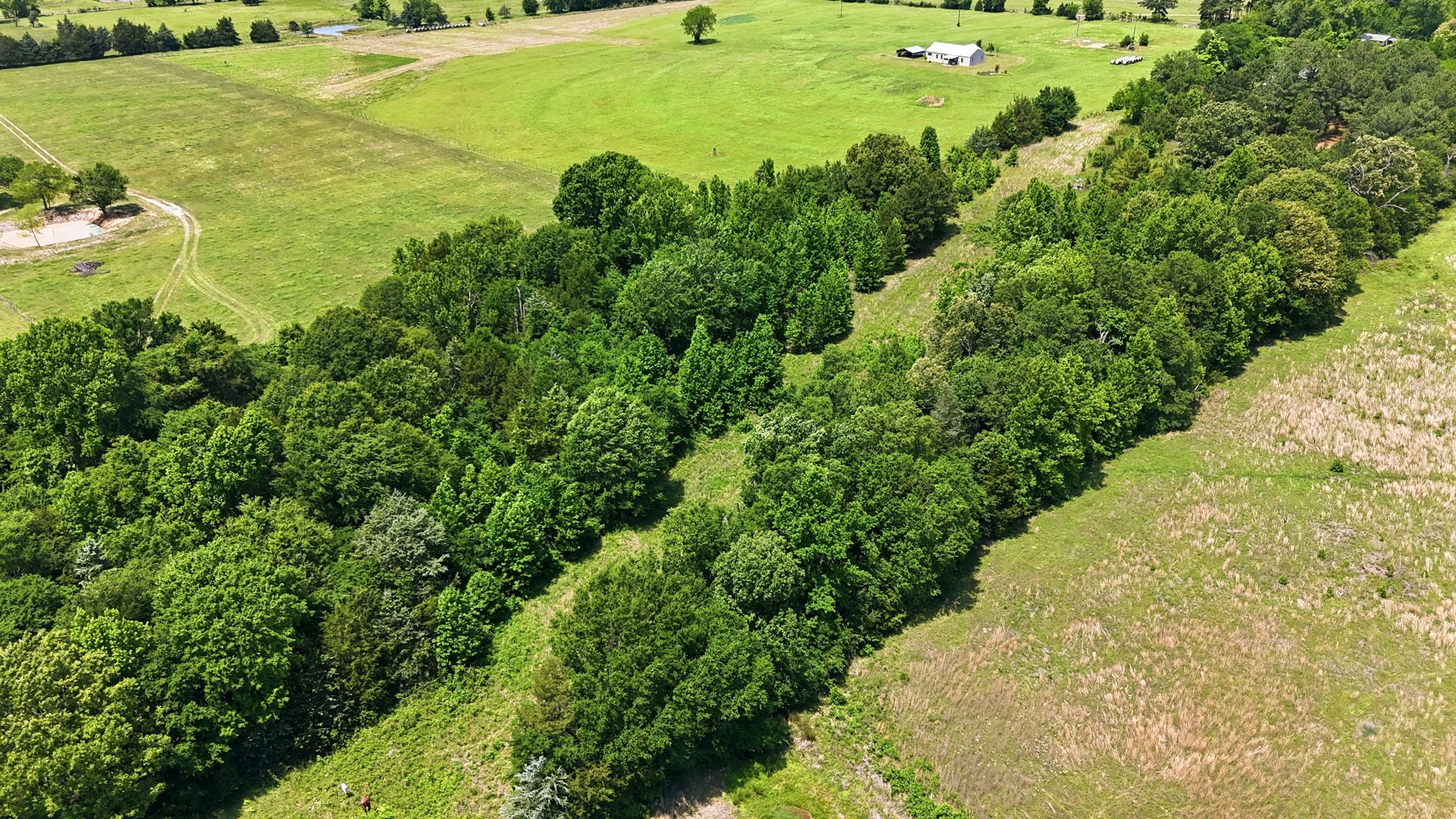 368 County Road 4960 Quitman TX 75783