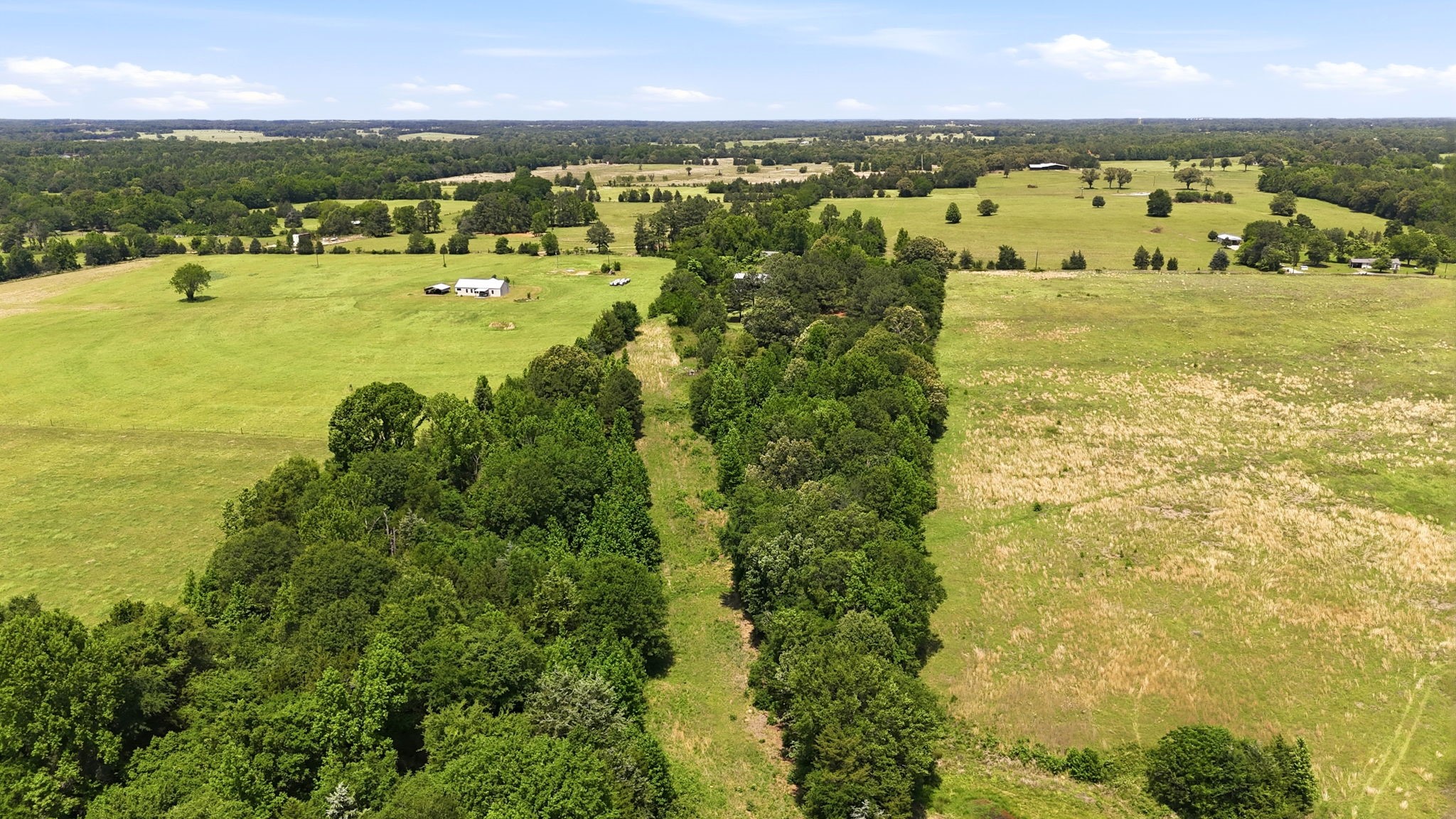368 County Road 4960 Quitman TX 75783
