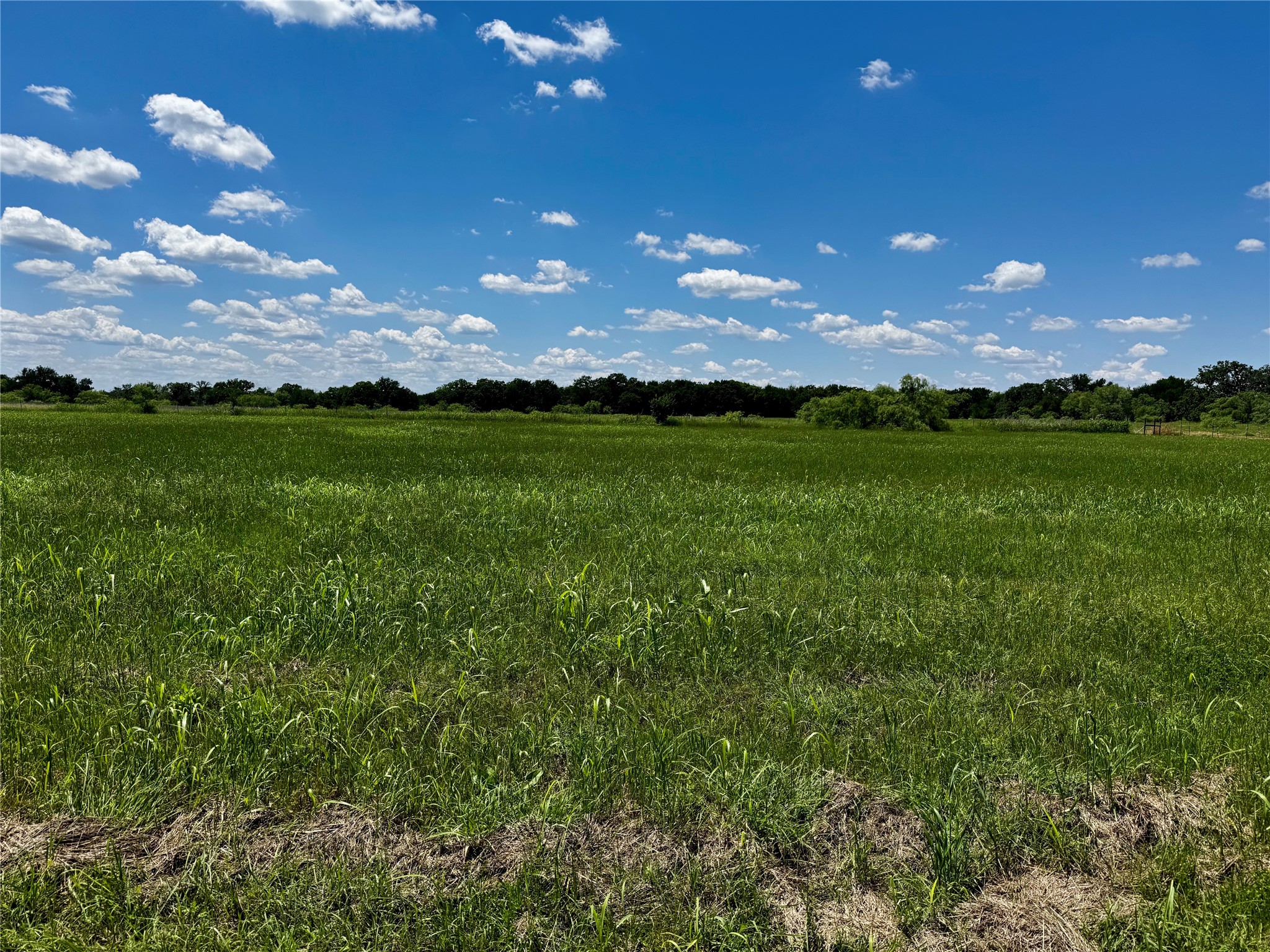 596 Southridge Drive Mineral Wells TX 76067