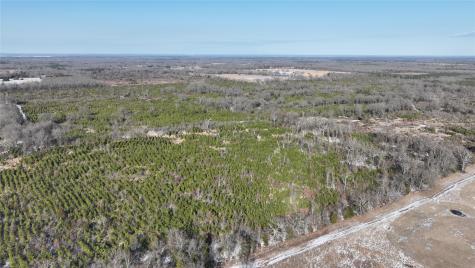 TBD County Road 2242 S. Bagwell TX 75412