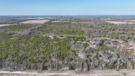 TBD County Road 2242 S. Bagwell TX 75412