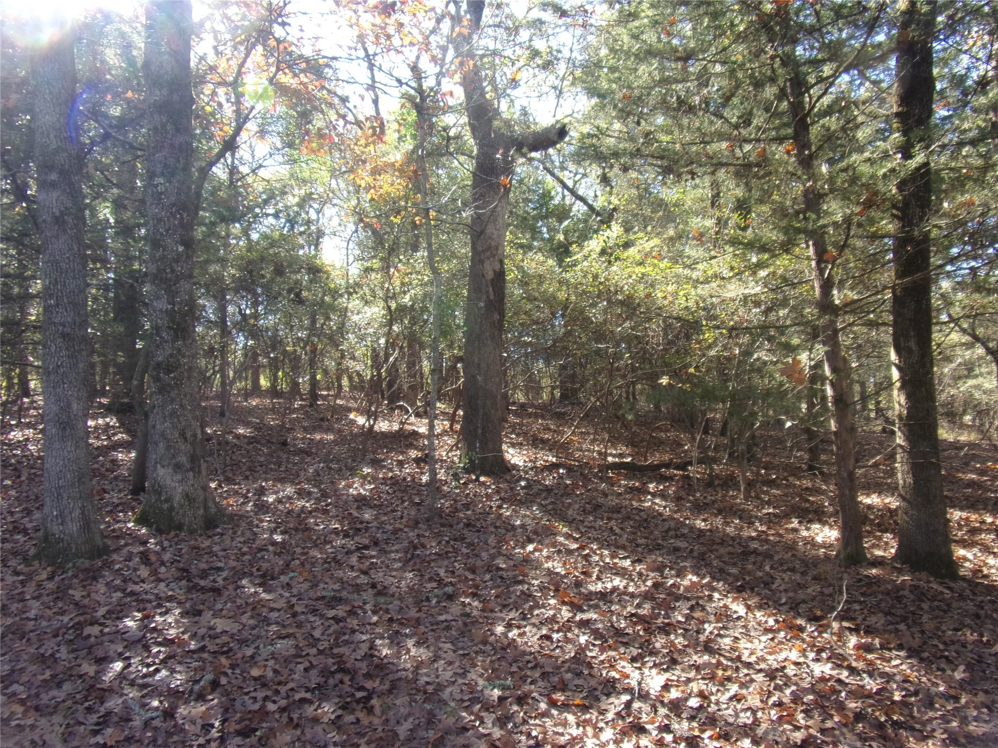 555 And 559 Holly Glen Murchison TX 75778