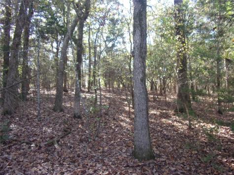 555 And 559 Holly Glen Murchison TX 75778