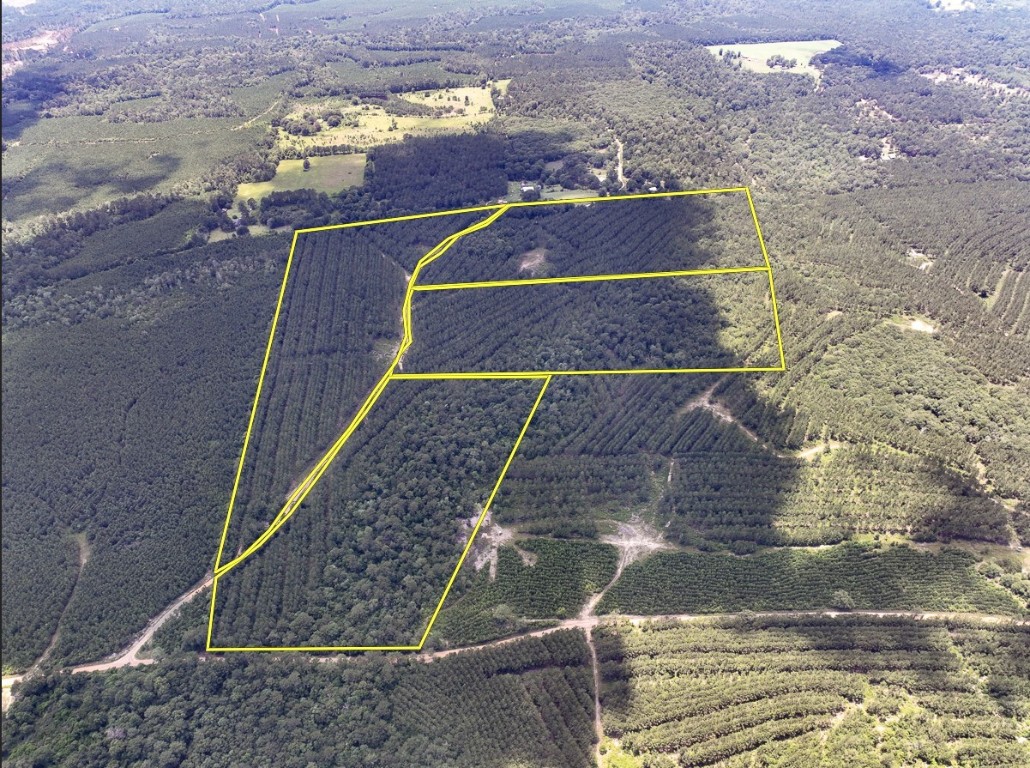 00 County Road 1325 Woodville TX 75979