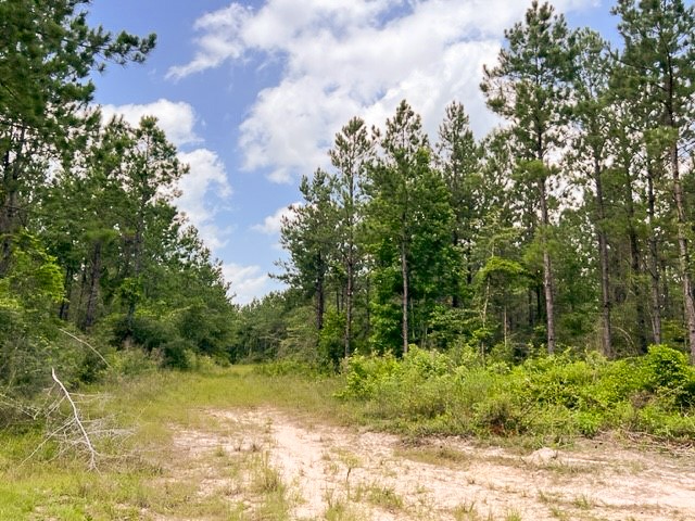 00 County Road 1325 Woodville TX 75979