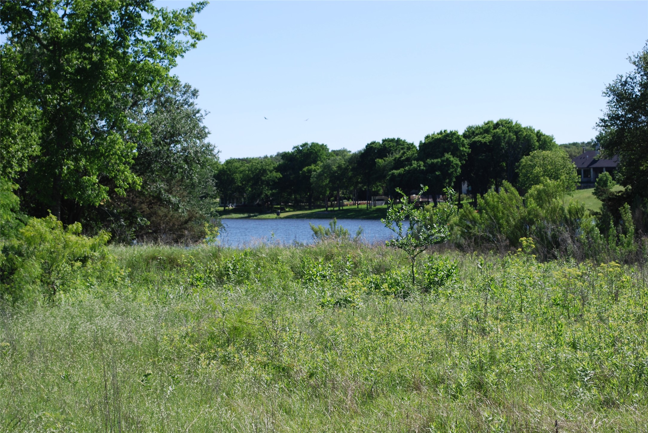 4006 Whitecrest Drive Whitney TX 76692