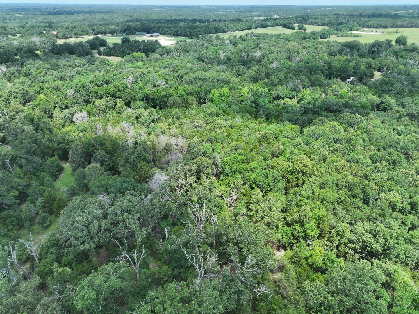 Tbd Cr 431 Road Fairfield TX 75840