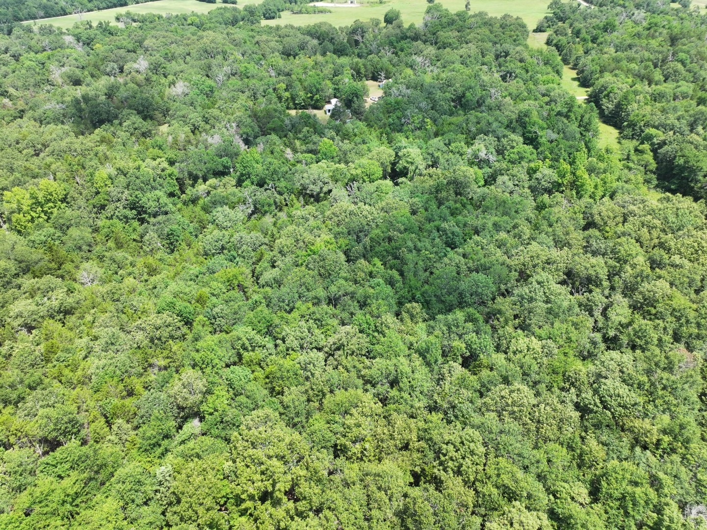Tbd Cr 431 Road Fairfield TX 75840