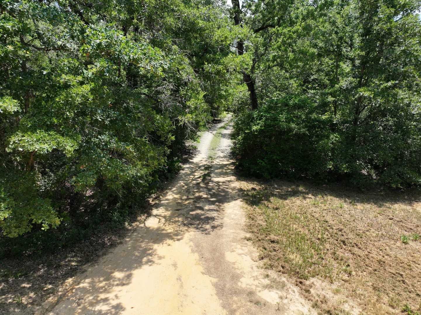 Tbd Cr 431 Road Fairfield TX 75840