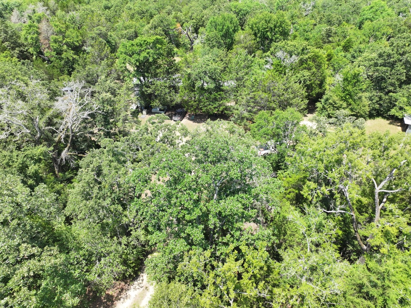 Tbd Cr 431 Road Fairfield TX 75840