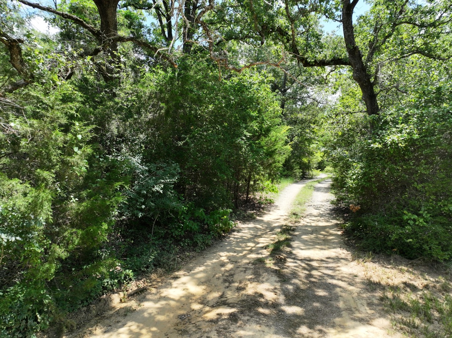 Tbd Cr 431 Road Fairfield TX 75840