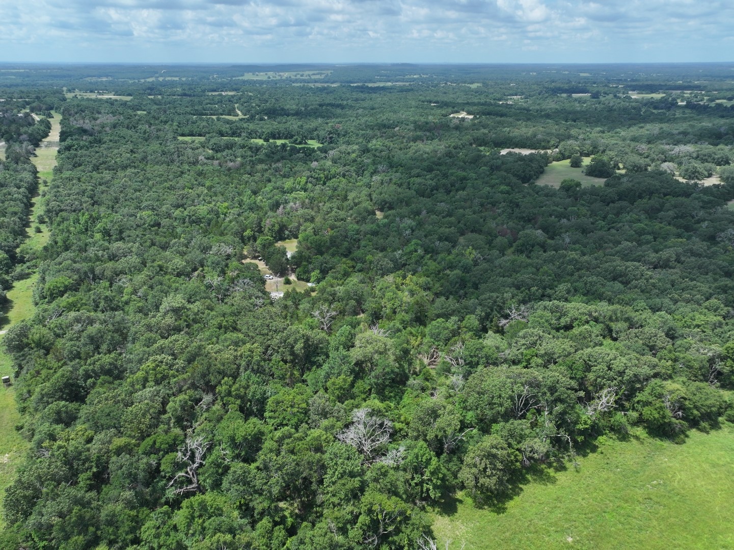Tbd Cr 431 Road Fairfield TX 75840