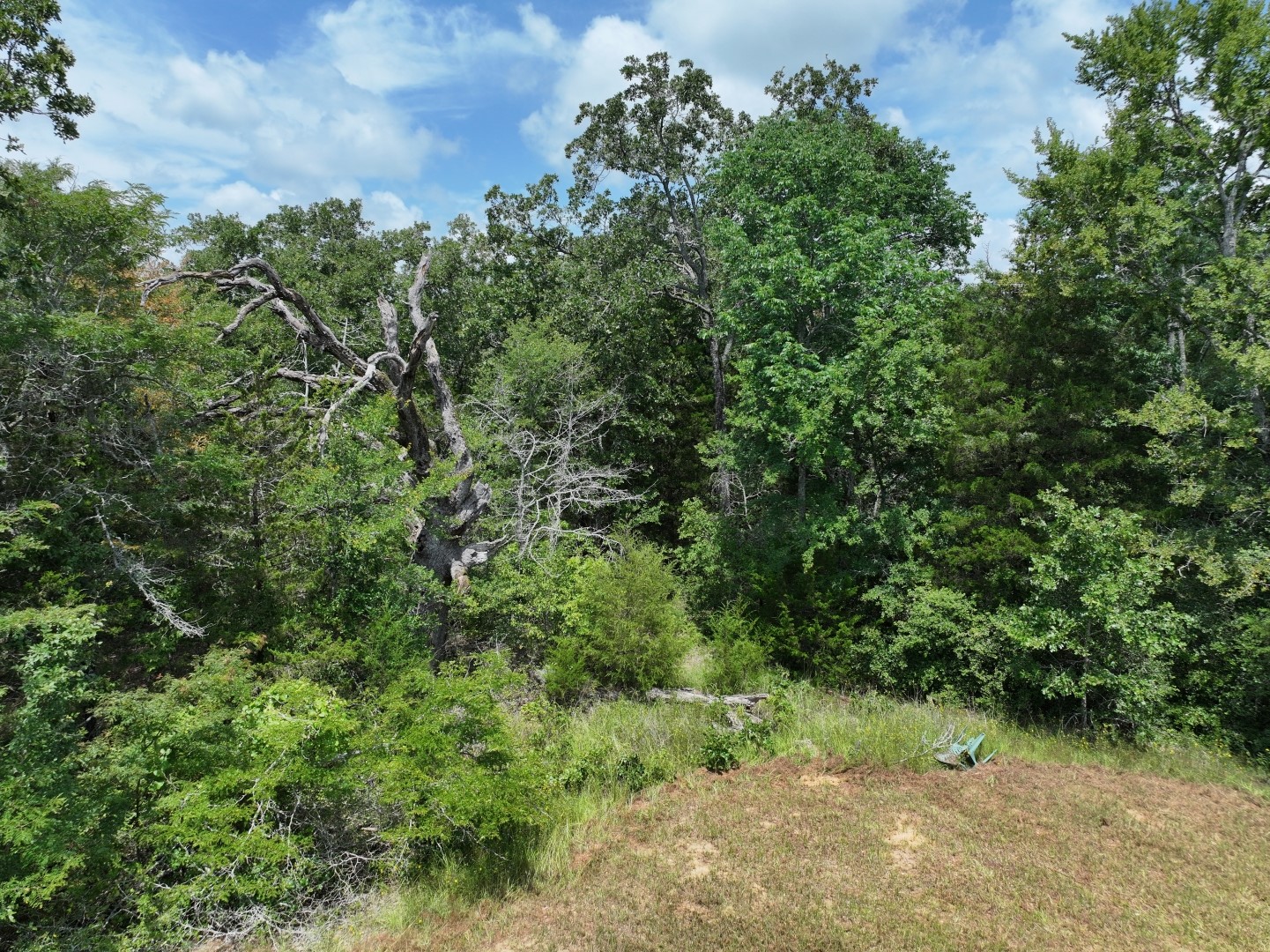 Tbd Cr 431 Road Fairfield TX 75840