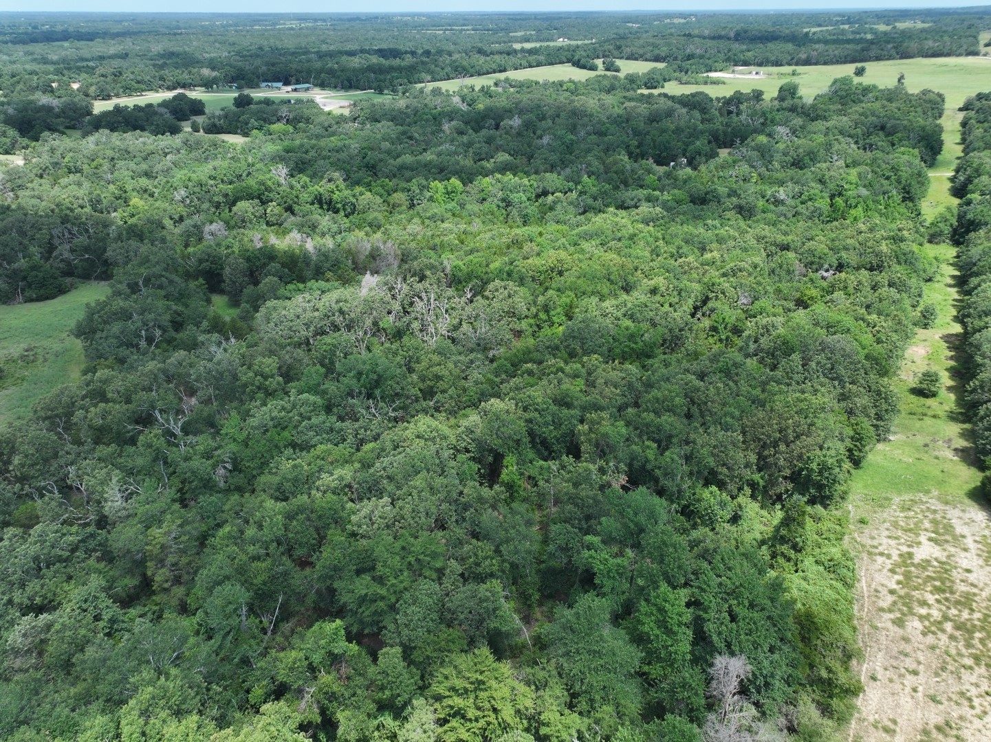 Tbd Cr 431 Road Fairfield TX 75840