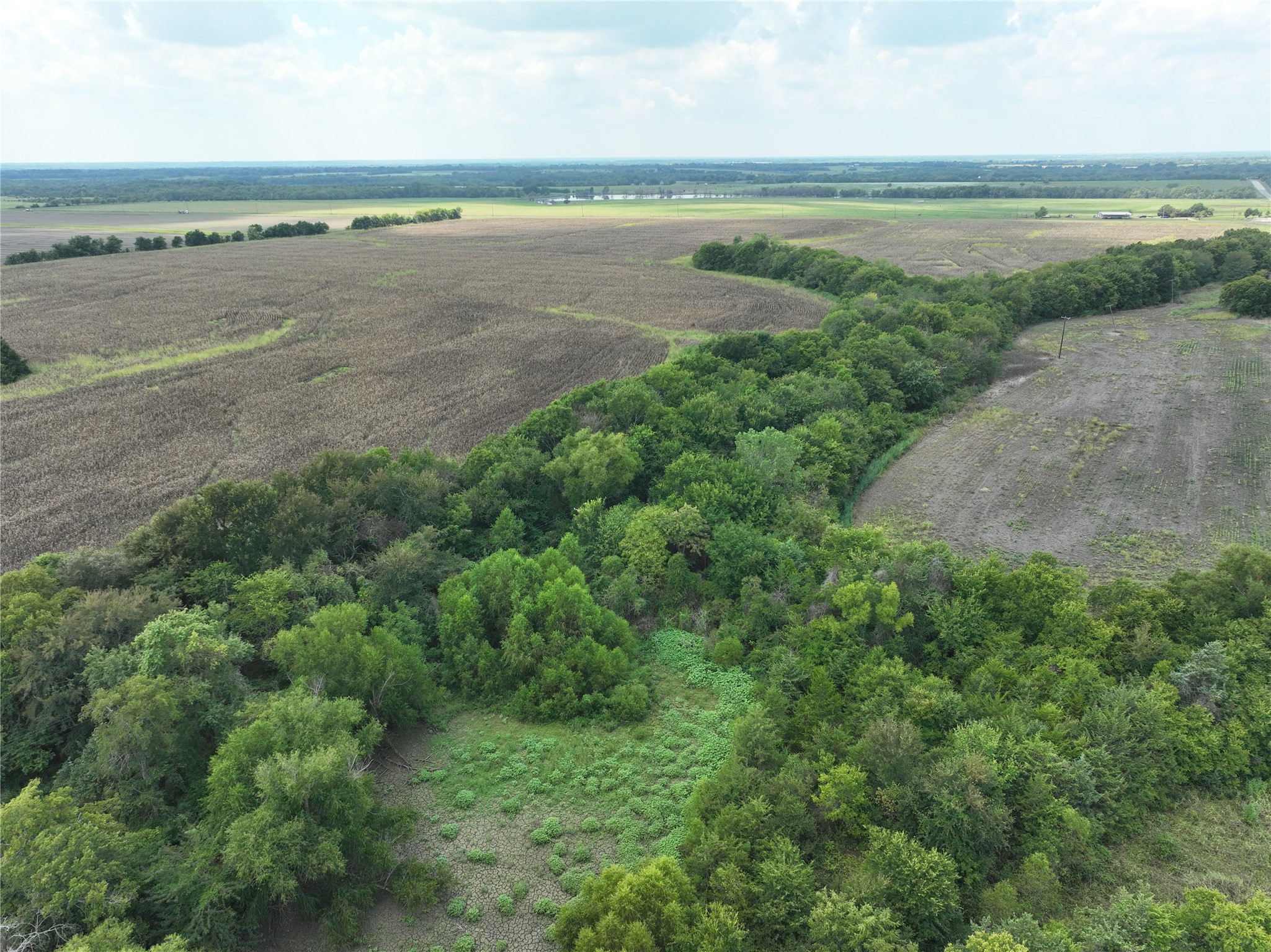 14589 Farm Road 137 Roxton TX 75477