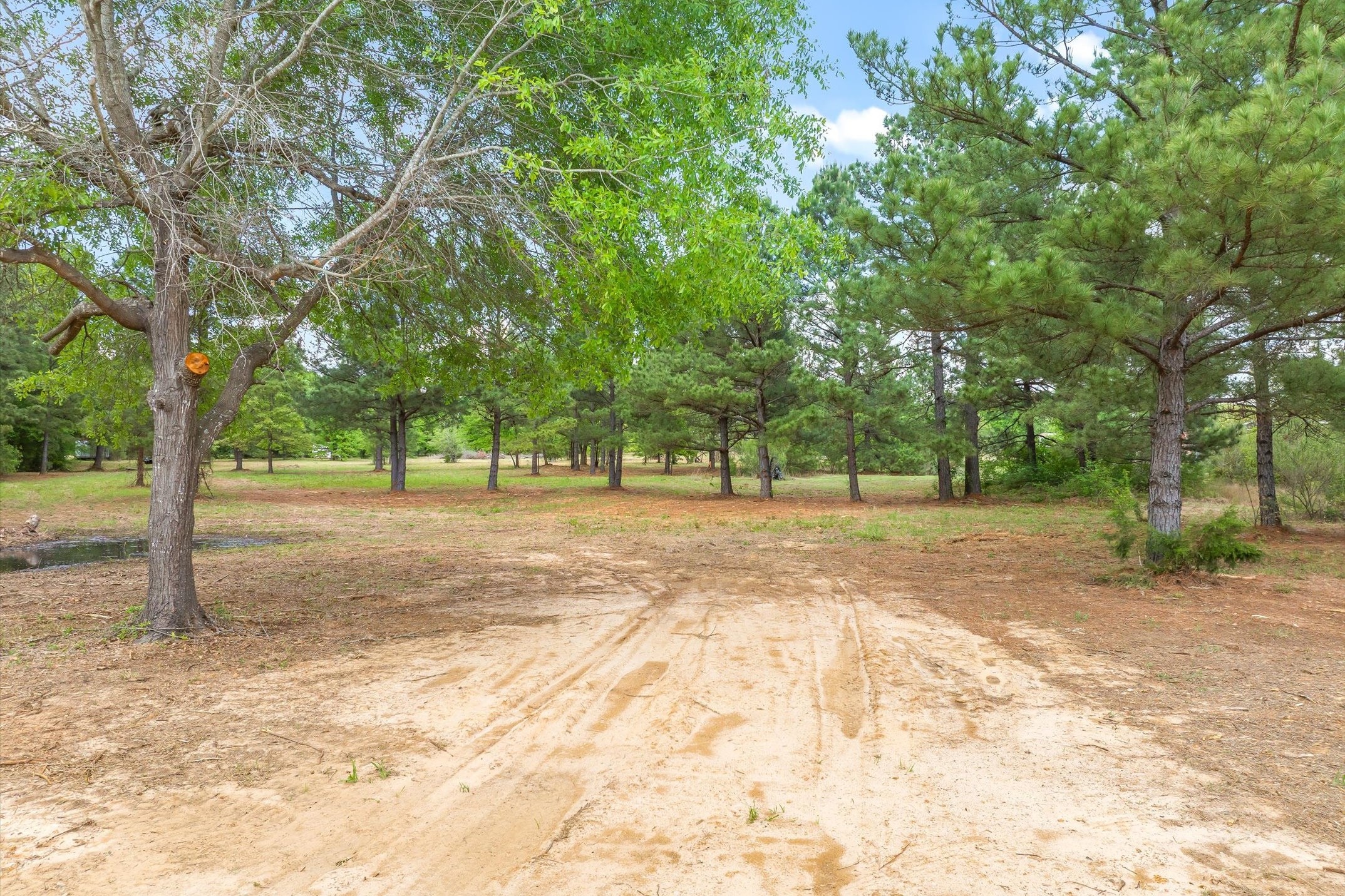 00 Highway 69 Alba TX 75410