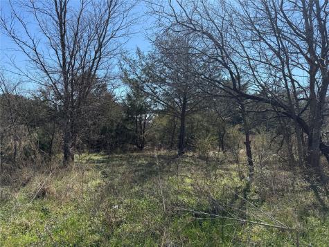 Lots 162a, 162b, 163a SW Cr 4011 Dawson TX 76639
