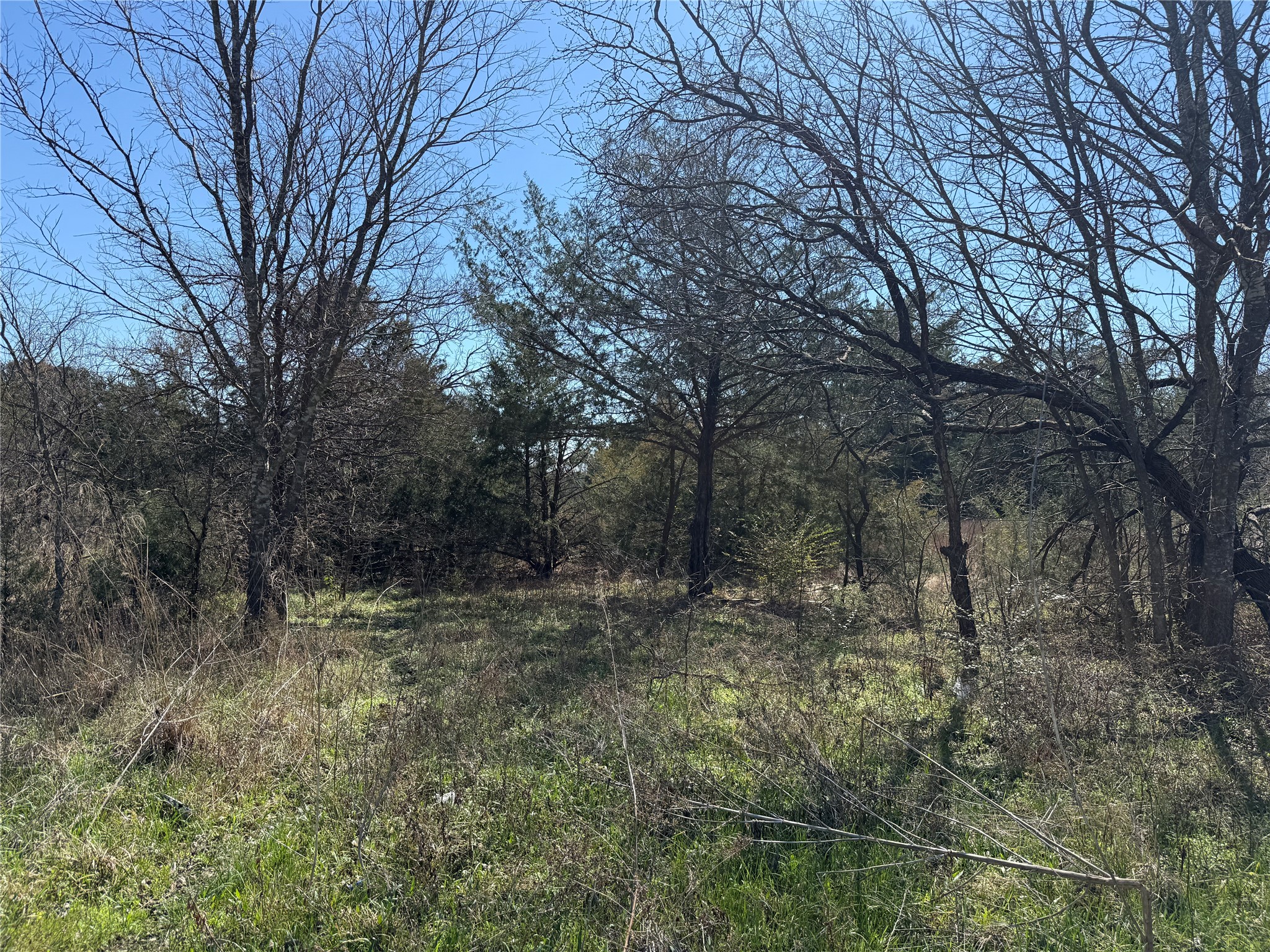 Lots 162a, 162b, 163a SW Cr 4011 Dawson TX 76639