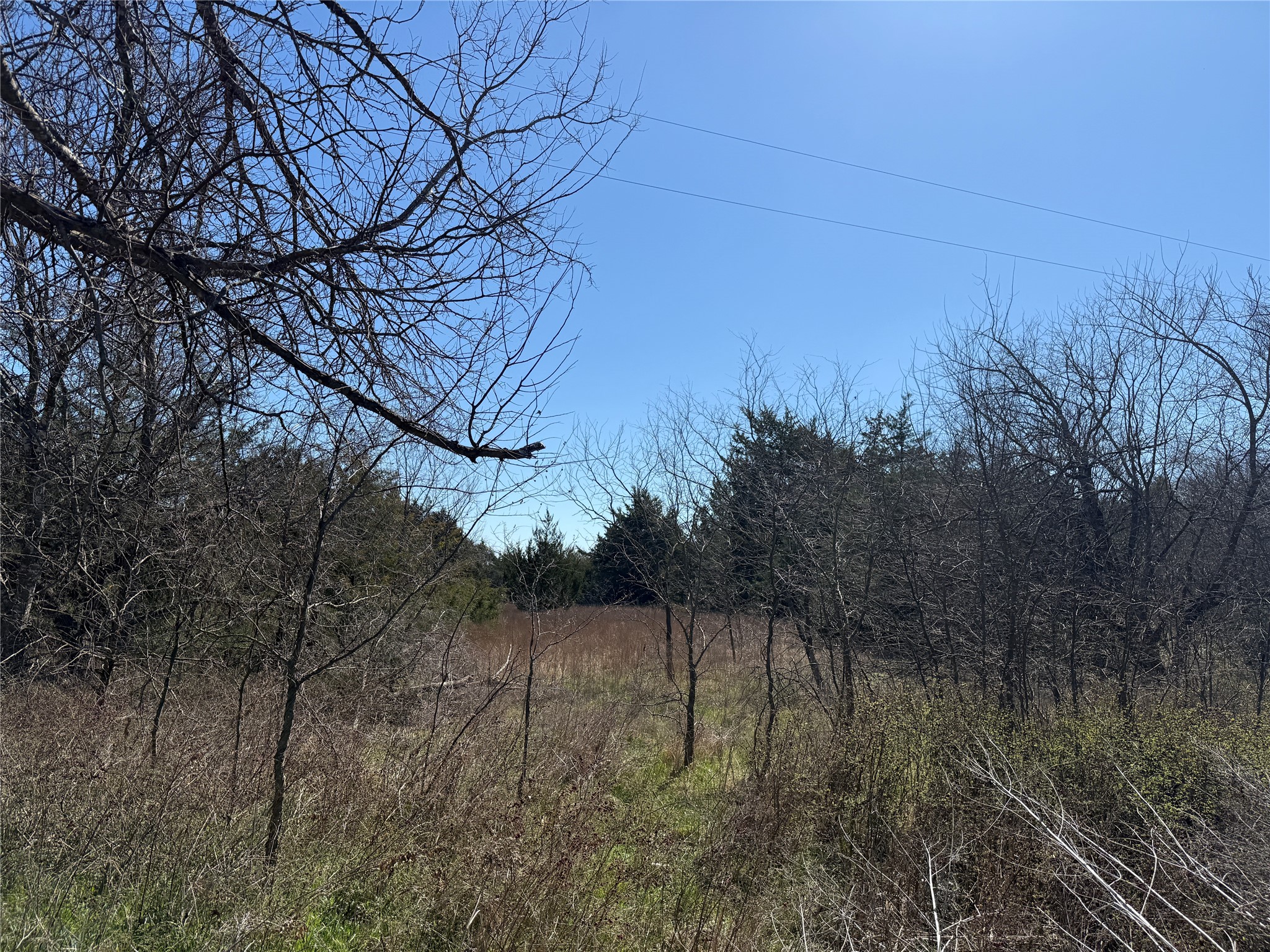 Lots 162a, 162b, 163a SW Cr 4011 Dawson TX 76639