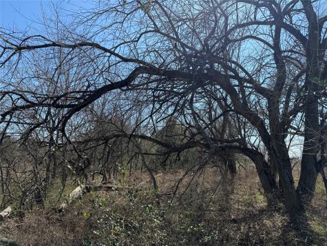 Lots 162a, 162b, 163a SW Cr 4011 Dawson TX 76639
