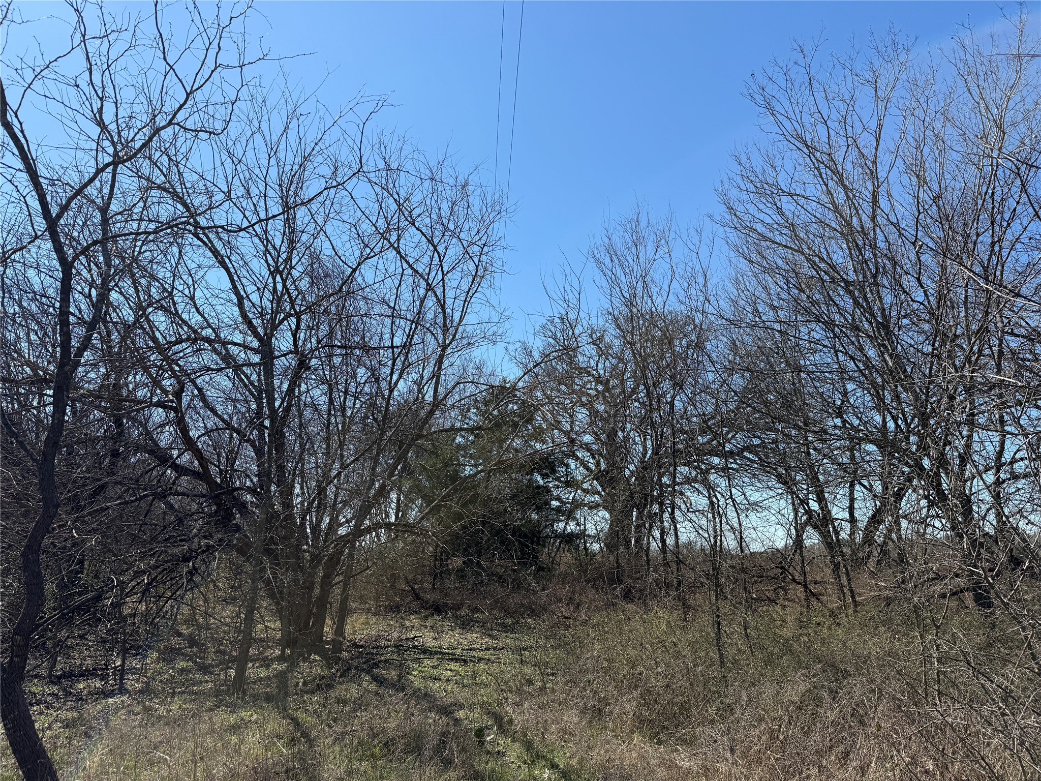 Lots 162a, 162b, 163a SW Cr 4011 Dawson TX 76639