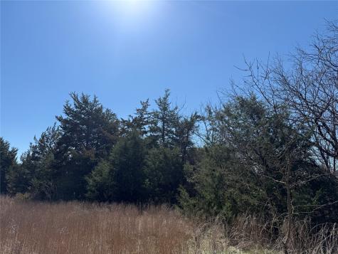 Lots 162a, 162b, 163a SW Cr 4011 Dawson TX 76639