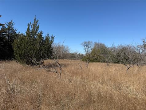 Lots 162a, 162b, 163a SW Cr 4011 Dawson TX 76639
