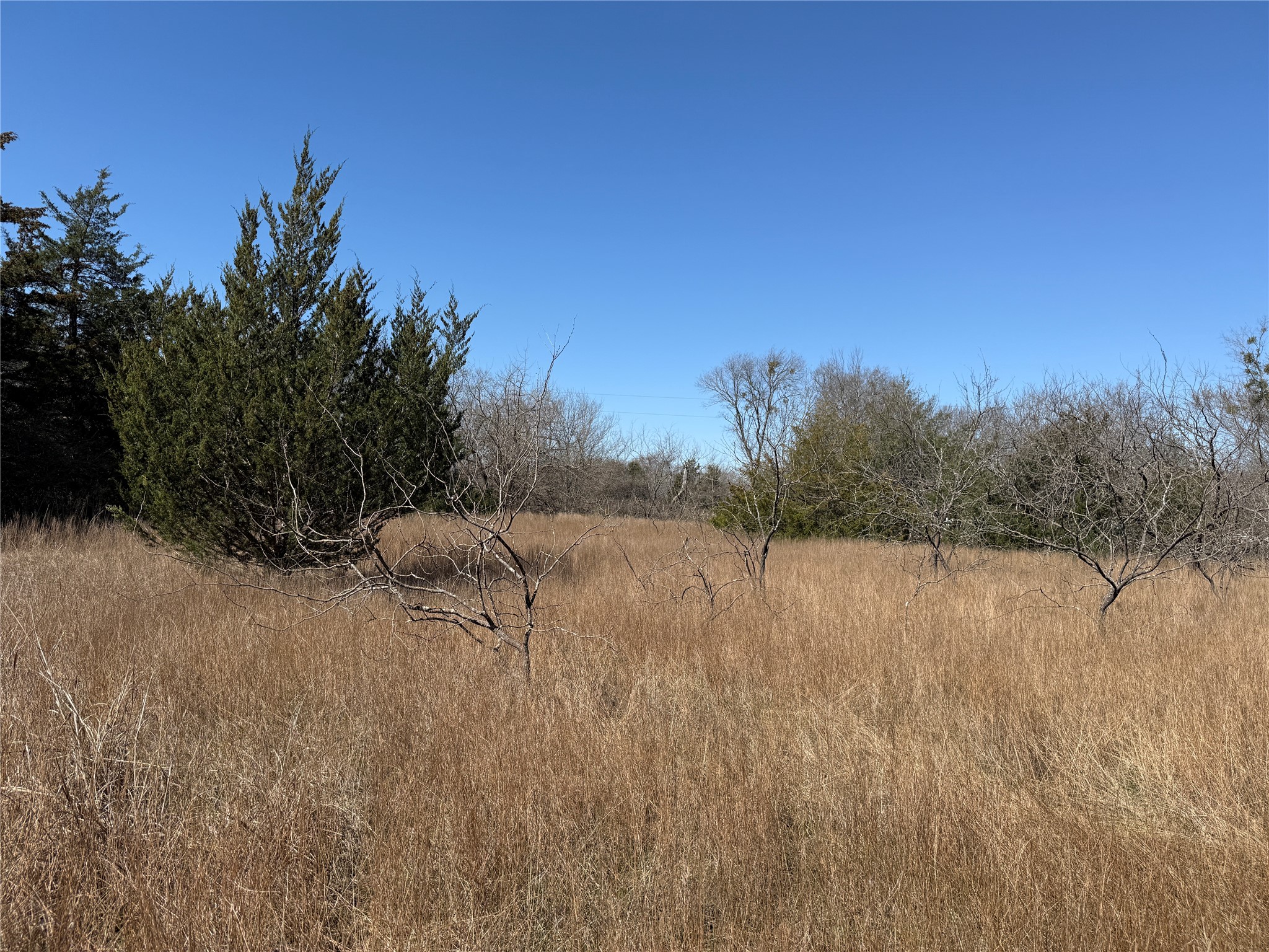 Lots 162a, 162b, 163a SW Cr 4011 Dawson TX 76639