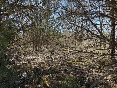 Lots 162a, 162b, 163a SW Cr 4011 Dawson TX 76639