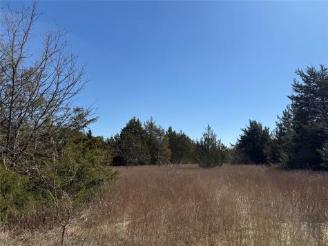 Lots 162a, 162b, 163a SW Cr 4011 Dawson TX 76639